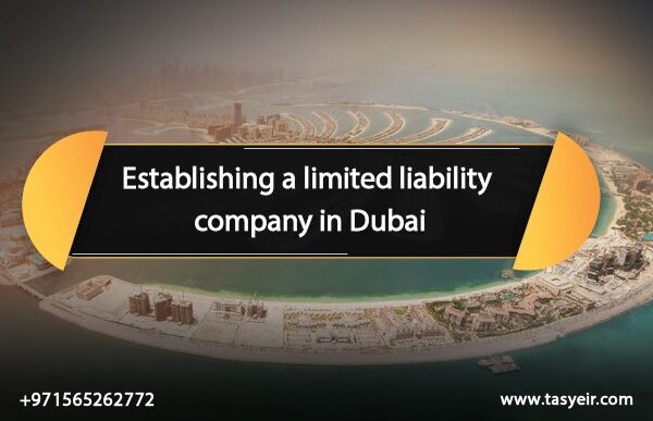 Establishing a limited liability company in Dubai